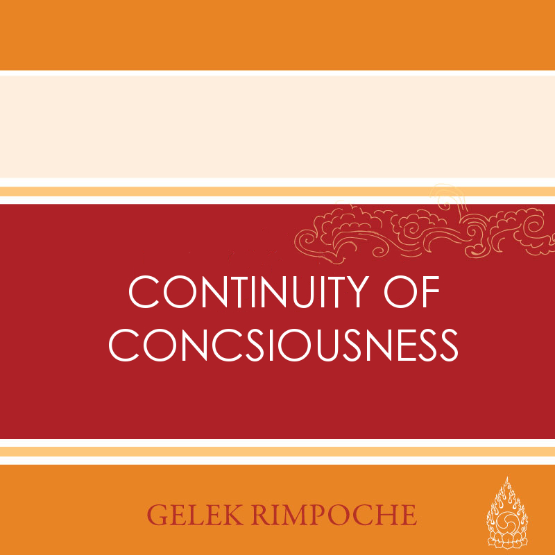 Continuity of Consciousness