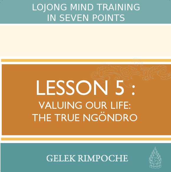 Valuing Our Life: The True Ngondro