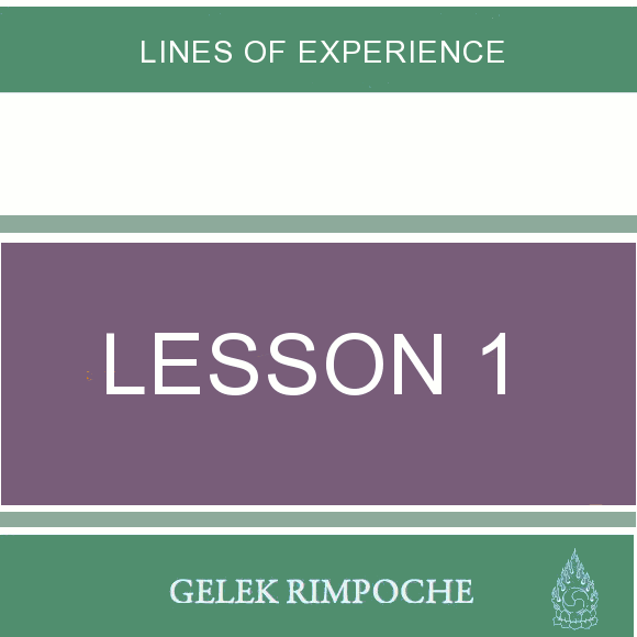 Lesson 1: Lines of Experience