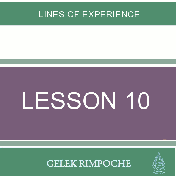 Lesson 10: Lines of Experience