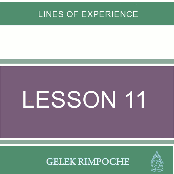 Lesson 11: Lines of Experience