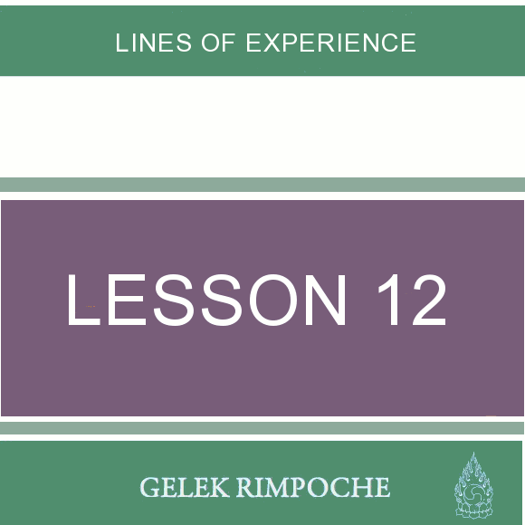 Lesson 12: Lines of Experience