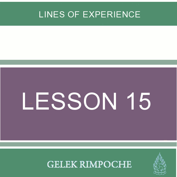 Lesson 15: Lines of Experience