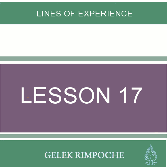 Lesson 17: Lines of Experience
