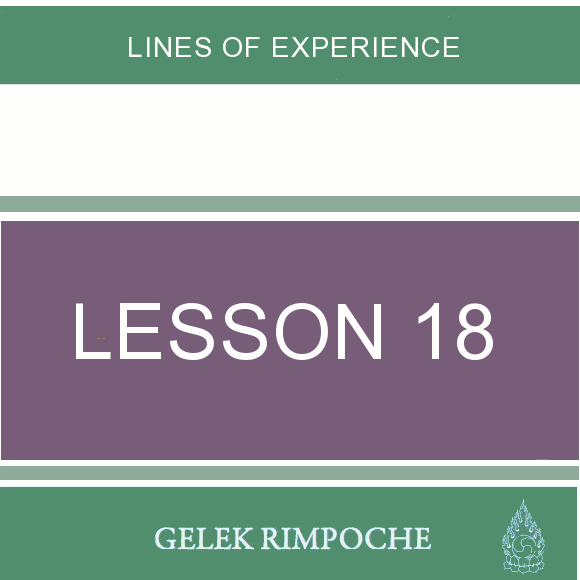 Lesson 18: Lines of Experience