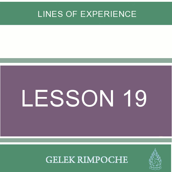 Lesson 19: Lines of Experience