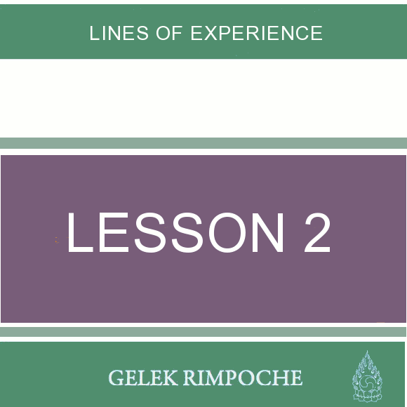 Lesson 2: Lines of Experience