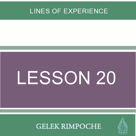 Lesson 20: Lines of Experience