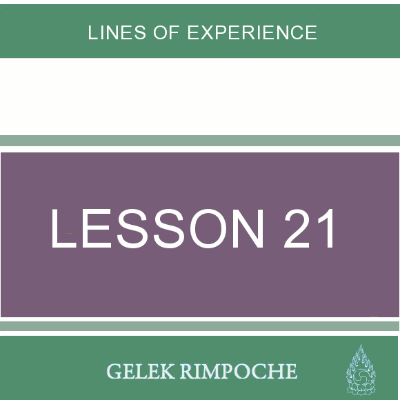 Lesson 21: Lines of Experience