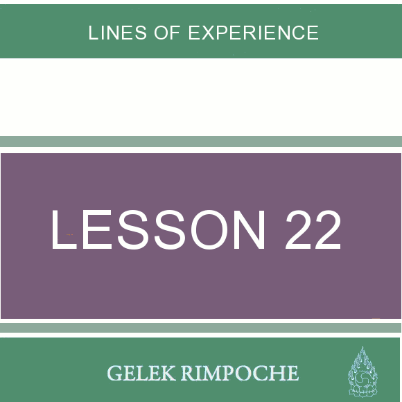 Lesson 22: Lines of Experience