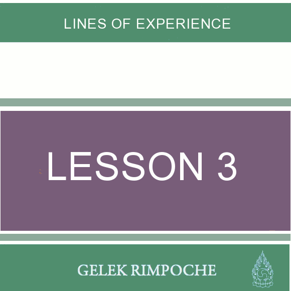Lesson 3: Lines of Experience