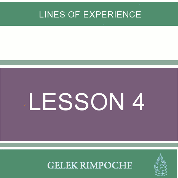 Lesson 4: Lines of Experience