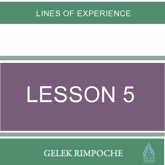 Lesson 5: Lines of Experience