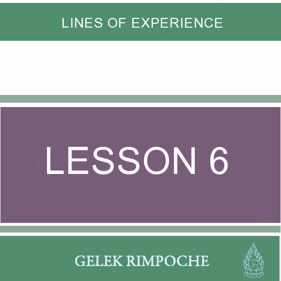 Lesson 6: Lines of Experience
