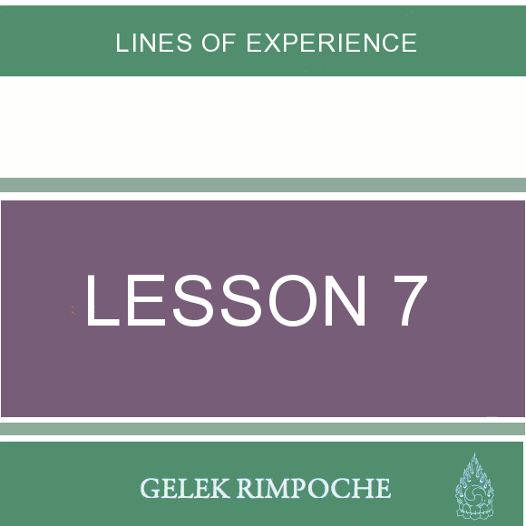 Lesson 7: Lines of Experience