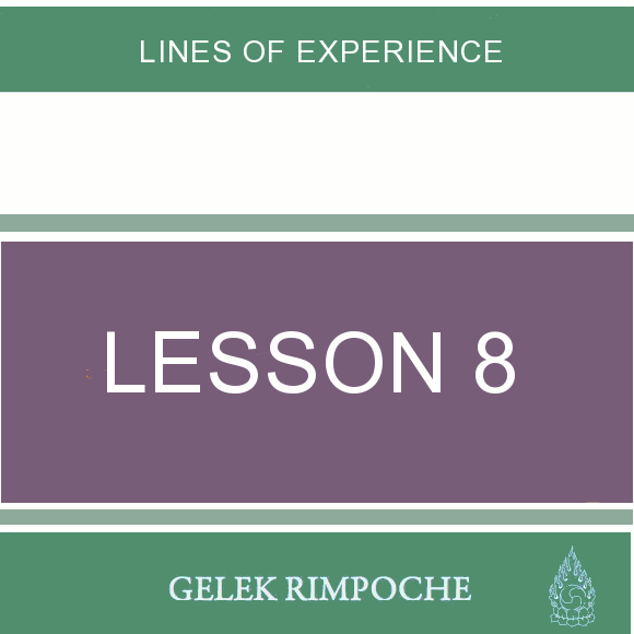 Lesson 8: Lines of Experience