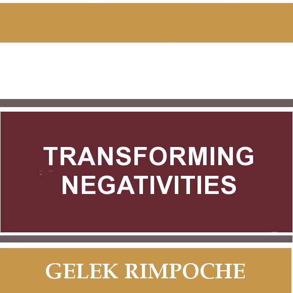 Transforming Negativities