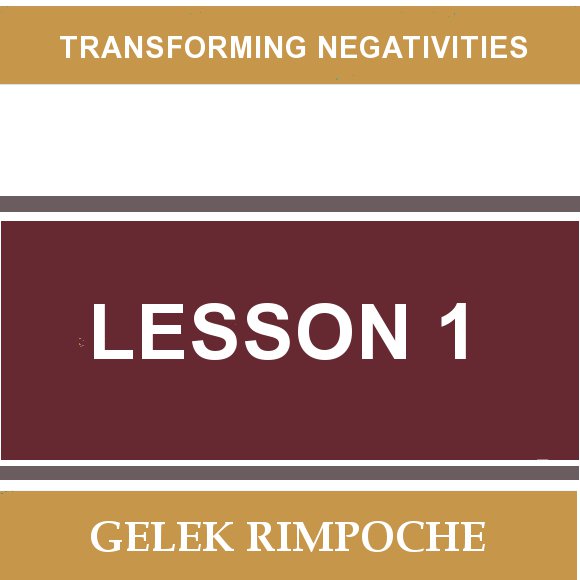 Lesson 1: Transforming Negativities