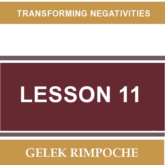 Lesson 11: Transforming Negativities