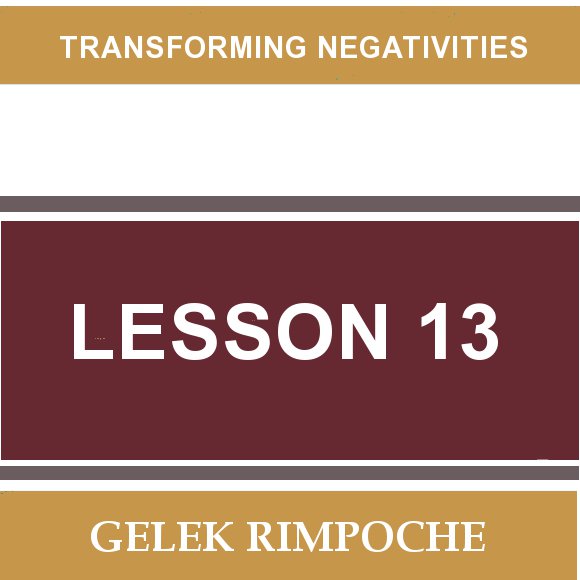 Lesson 13: Transforming Negativities