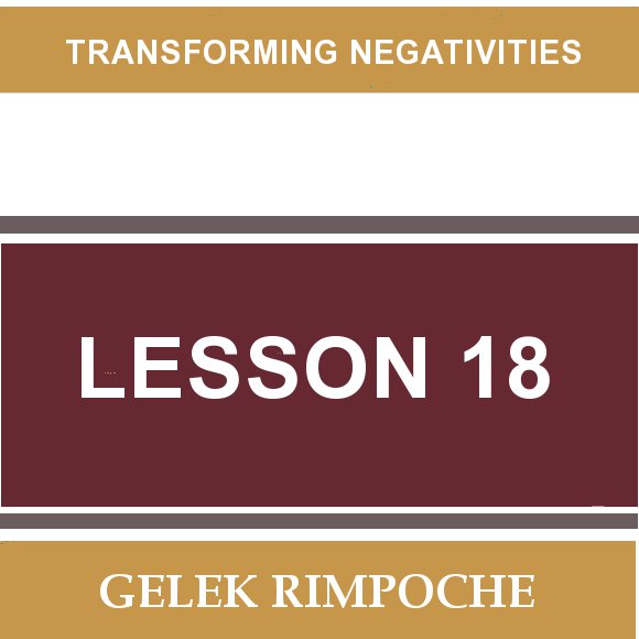 Lesson 18: Transforming Negativities