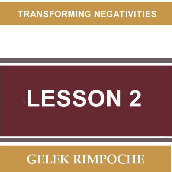Lesson 2: Transforming Negativities