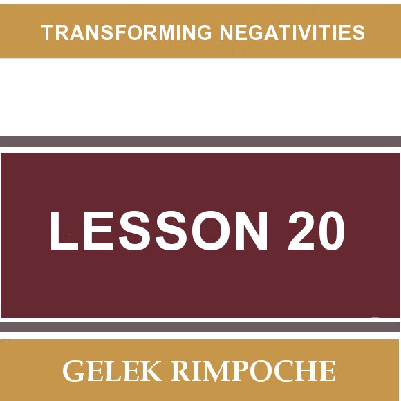 Lesson 20: Transforming Negativities