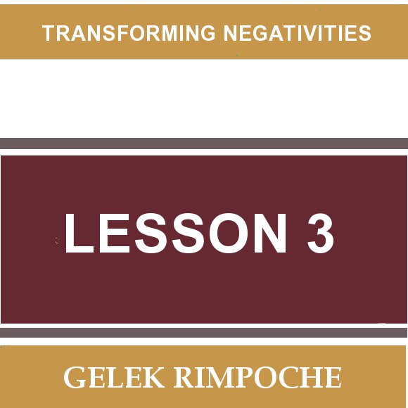 Lesson 3: Transforming Negativities