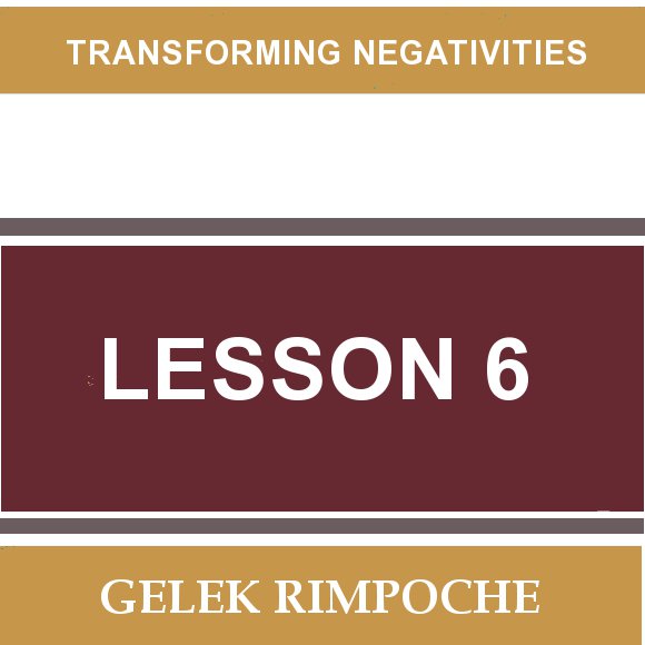 Lesson 6: Transforming Negativities