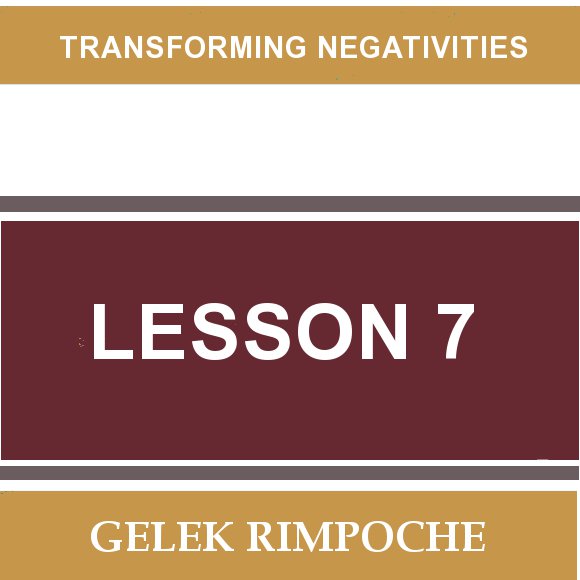 Lesson 7: Transforming Negativities