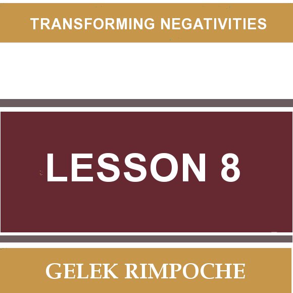 Lesson 8: Transforming Negativities