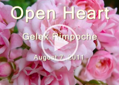 Open Heart