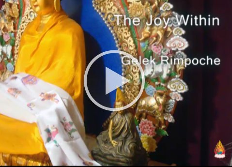 The Joy Within