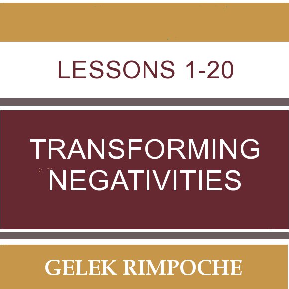 Transforming Negativities