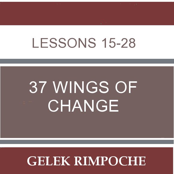 37 Wings of Change: Lessons 15-28