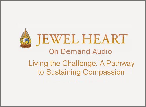 Living the Challenge: A Pathway to Sustaining Compassion