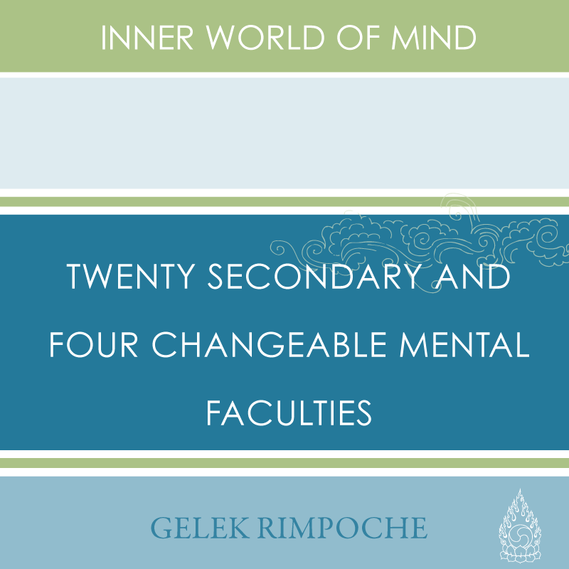 The Twenty Secondary and Four Changeable Mental Faculties