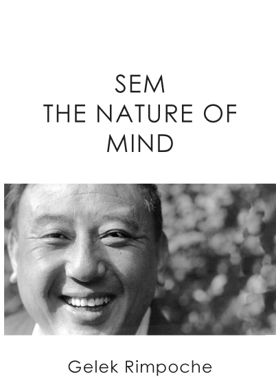 SEM – The Nature of Mind