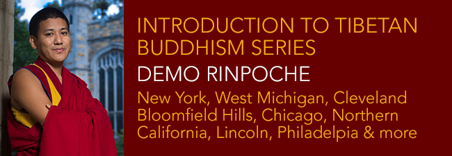 Introduction to Tibetan Buddhism Series with Demo Rinpoche
