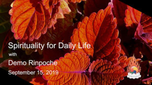 Spirituality for Daily Life – Demo Rinpoche Sunday Talk 25