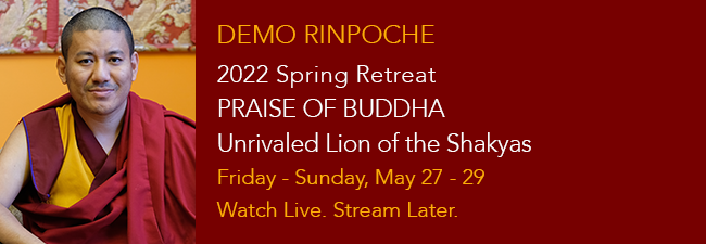 Spring Retreat Praise of Buddha Demo Rinpoche