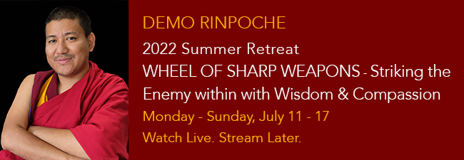 Wheel of Sharp Weapons Demo Rinpoche Summer Retreat