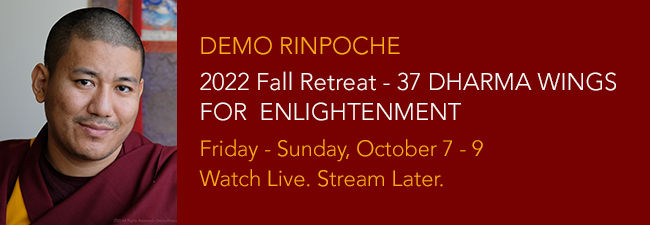 2021 Fall Retreat - 37 Dharma Wings of Enlightenment