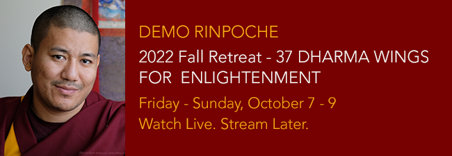 Fall Retreat Demo Rinpoche 37 Dharma Wings