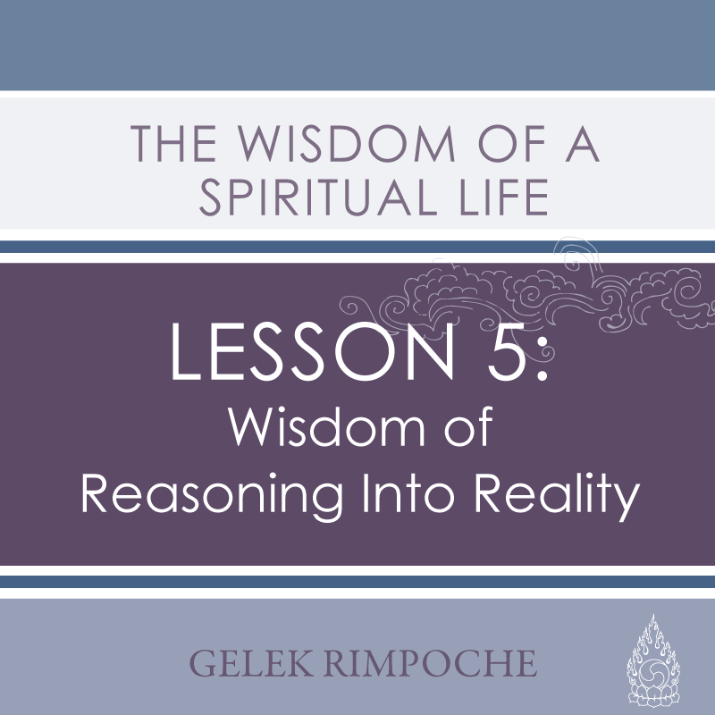 The Wisdom of Reasoning into Reality
