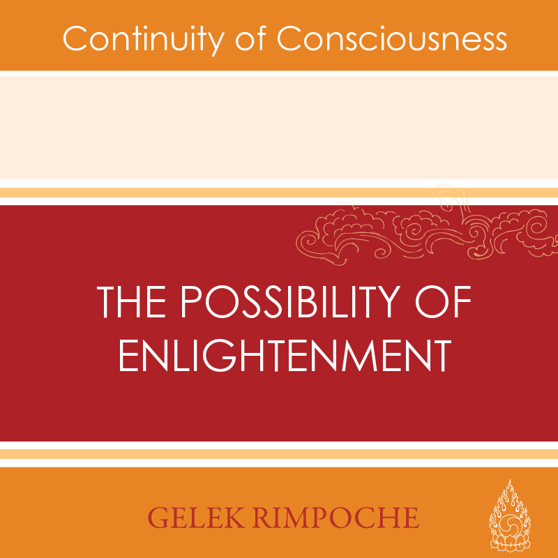 The Possibility of Enlightenment
