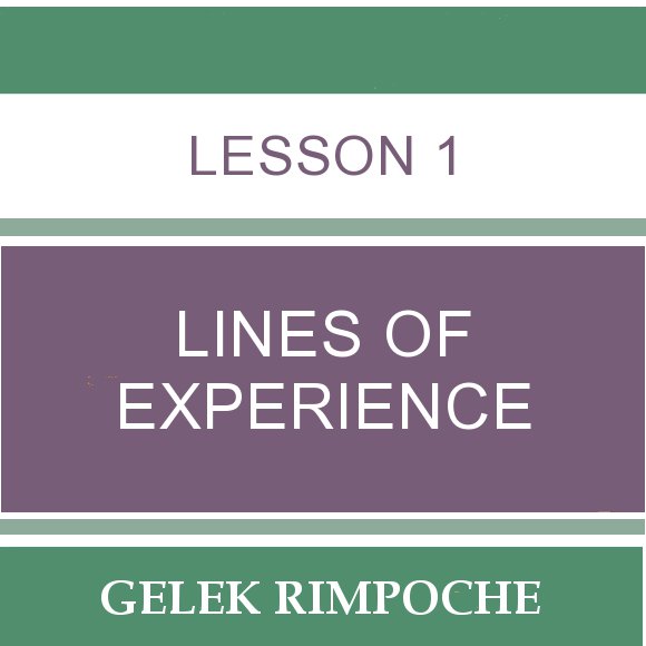 Lesson 1: Lines of Experience