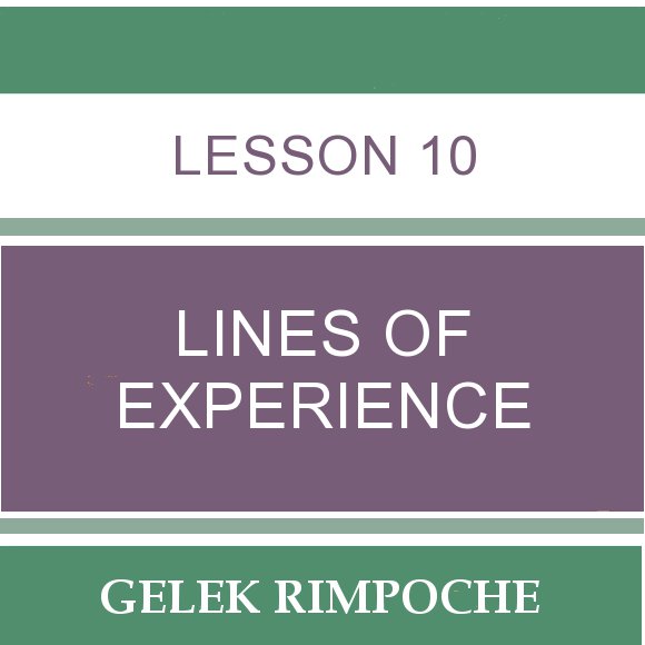 Lesson 10: Lines of Experience