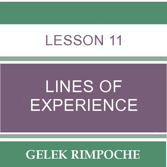 Lesson 11: Lines of Experience