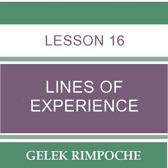 Lesson 16: Lines of Experience